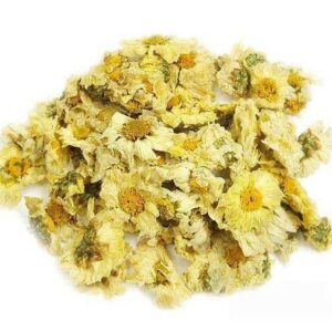 Fleurs de chrysanthème blanches