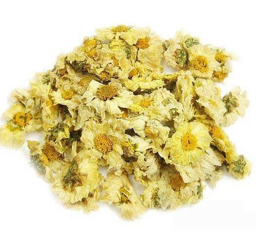 Fleurs de chrysanthème blanches Fleurs de chrysanthème blanches