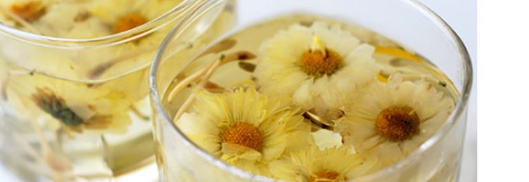 fleurs de chrysanthème pour slider